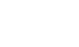 referencelogoer_business viborg
