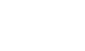 referencelogoer_nikostine